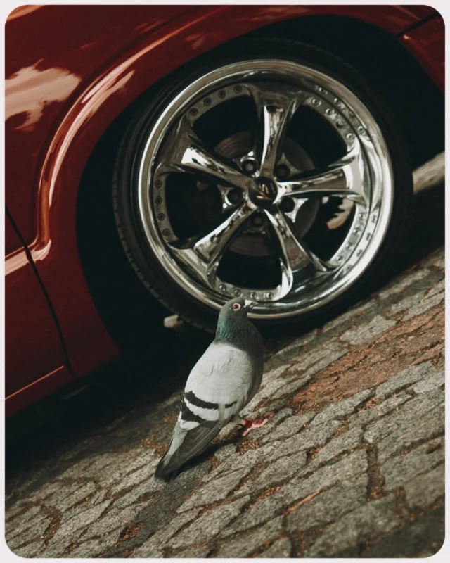 Fotorelacja Wazyn Car Show 2025 🔥Partnerzy wydarzenia:
@rave_lab_ - oprawa muzyczna i prowadzenie after party
@gepetto_garage - ekipa samochodowa
@retroskleppl - gadżety motoryzacyjne
@bountysummerbar - wsparcie wodopojowe
@matu_tattoo - tatuaże
@barber_shop_lord_glogow - strzyżenie
@kojotcar - wypożyczalnia samochodów
@na_klejki.pl - pewnie naklejki
@monsterenergy - dupnij se
@petrolpencil - projekty graficzne i wernisaże
@autograph_glogow - oklejanie fur
@_angel_detailing_ - dbanie o fury
Miasto Głogów - patronat i wsparcieZdjęcia i edit 💪
@hu81.visuals#wazyn #car #show #glogow #wazyn_kolektiv #92996 #event #stance #static #airride #tattoo #barber #dnb #rap #hiphop #lifestyle #art #style